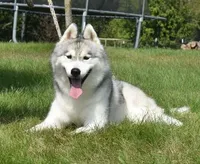 processed/e3239fa8-28ba-4509-a9bd-6383a4b07e3b/listing/45baa0c1-b825-4a0d-9a7f-fdde1776219e/14668271-e03d-4556-b58c-68998d0490db