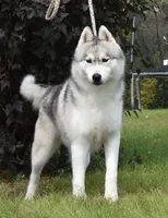 processed/e3239fa8-28ba-4509-a9bd-6383a4b07e3b/listing/45baa0c1-b825-4a0d-9a7f-fdde1776219e/43969542-2c13-4bb0-94c2-120747e71d34