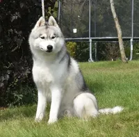 processed/e3239fa8-28ba-4509-a9bd-6383a4b07e3b/listing/45baa0c1-b825-4a0d-9a7f-fdde1776219e/9b8410e1-44b6-4e29-885a-0958d35d6c77