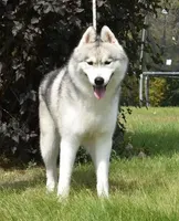 processed/e3239fa8-28ba-4509-a9bd-6383a4b07e3b/listing/45baa0c1-b825-4a0d-9a7f-fdde1776219e/e495f424-2069-4c48-a1cf-0b9a95700c51