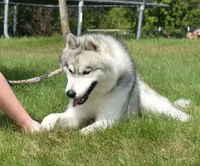 processed/e3239fa8-28ba-4509-a9bd-6383a4b07e3b/listing/45baa0c1-b825-4a0d-9a7f-fdde1776219e/fd945efc-9dab-4f10-a478-52d5d109d4f4