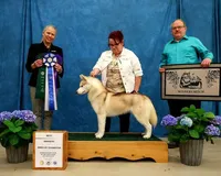 processed/e3239fa8-28ba-4509-a9bd-6383a4b07e3b/listing/c87850cc-f533-4d2f-833c-6a1edd2b20ff/17694d55-7b51-41c2-9858-720efead45dd