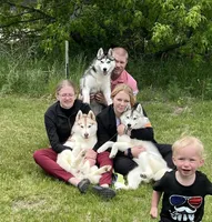 processed/e3239fa8-28ba-4509-a9bd-6383a4b07e3b/listing/c87850cc-f533-4d2f-833c-6a1edd2b20ff/2114afa1-94a9-43d1-b1ef-906e2613bad1