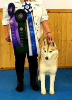 processed/e3239fa8-28ba-4509-a9bd-6383a4b07e3b/listing/c87850cc-f533-4d2f-833c-6a1edd2b20ff/50fa0006-9c64-4f1c-86da-7fa35e368cd5