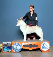 processed/e3239fa8-28ba-4509-a9bd-6383a4b07e3b/listing/c87850cc-f533-4d2f-833c-6a1edd2b20ff/86914536-8359-4bb6-9b69-215f80544fa0