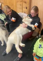 processed/e3239fa8-28ba-4509-a9bd-6383a4b07e3b/listing/c87850cc-f533-4d2f-833c-6a1edd2b20ff/f986ee2f-7bb2-4590-abbe-492d27030ef8