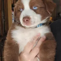 processed/e32d6195-5a4d-4c12-9539-4483c95fc1aa/facility/19c8a521-3d92-44c8-abcb-b10184111152