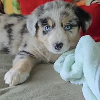 processed/e32d6195-5a4d-4c12-9539-4483c95fc1aa/facility/3fbfa8f4-7459-4d21-8b88-c751a7682efd