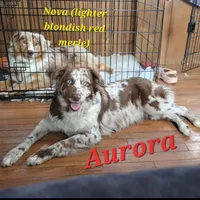 processed/e32d6195-5a4d-4c12-9539-4483c95fc1aa/facility/5616d877-c124-41c6-b395-12f55dcdc298