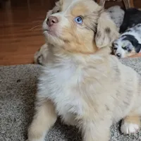 processed/e32d6195-5a4d-4c12-9539-4483c95fc1aa/facility/7ec6f783-7d2c-43b4-a40f-853246cfcc8e