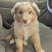 processed/e32d6195-5a4d-4c12-9539-4483c95fc1aa/facility/92c37e73-0753-4523-8af4-d95ee646485f