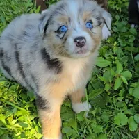 processed/e32d6195-5a4d-4c12-9539-4483c95fc1aa/facility/b1782663-556c-44a8-b5a2-808613c781b1