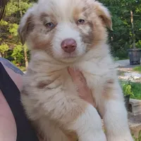 processed/e32d6195-5a4d-4c12-9539-4483c95fc1aa/facility/ebdb16a7-1547-4cac-b793-23aaa6ad4031