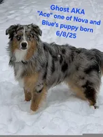 processed/e32d6195-5a4d-4c12-9539-4483c95fc1aa/facility/f6e9aba6-4417-4225-af38-172167908a69