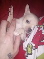 processed/e33be153-a6e8-4023-9636-b73f8fdc9c2d/listing/ecdd77a5-e44c-46ab-b11b-2694becc7468/13c47823-4cfc-437a-b9f9-cda00df53e5c