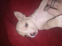 processed/e33be153-a6e8-4023-9636-b73f8fdc9c2d/listing/ecdd77a5-e44c-46ab-b11b-2694becc7468/1ab4bc43-48ac-4a59-972f-fa91f2bdcfa4