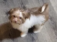 processed/e33e16a4-6623-4f28-8bc1-f4f33cb535be/listing/84d6faf8-0012-4480-b248-fff4ff401e73/06d2c00a-cdc5-4491-9c6b-b67018383da5