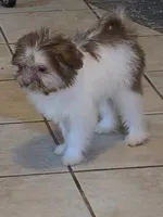 processed/e33e16a4-6623-4f28-8bc1-f4f33cb535be/listing/84d6faf8-0012-4480-b248-fff4ff401e73/19e5d645-6bae-4750-9345-5f0620702c68