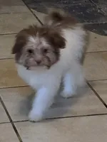 processed/e33e16a4-6623-4f28-8bc1-f4f33cb535be/listing/84d6faf8-0012-4480-b248-fff4ff401e73/74ed1909-6228-47af-9c35-2a51d6eb7107