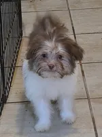 processed/e33e16a4-6623-4f28-8bc1-f4f33cb535be/listing/84d6faf8-0012-4480-b248-fff4ff401e73/8dcb6505-9b35-4d99-beda-6b0949a5a511