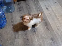 processed/e33e16a4-6623-4f28-8bc1-f4f33cb535be/listing/84d6faf8-0012-4480-b248-fff4ff401e73/91128d79-d683-43e5-96c1-1bfd8f9e3289