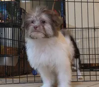 processed/e33e16a4-6623-4f28-8bc1-f4f33cb535be/listing/84d6faf8-0012-4480-b248-fff4ff401e73/b4862fac-0b9d-4c6d-919e-9d642ed1ca4a