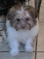 processed/e33e16a4-6623-4f28-8bc1-f4f33cb535be/listing/84d6faf8-0012-4480-b248-fff4ff401e73/c74b5b49-f3f8-4c0e-ad1e-42262d4ce8e7