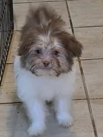 processed/e33e16a4-6623-4f28-8bc1-f4f33cb535be/listing/84d6faf8-0012-4480-b248-fff4ff401e73/ec5696e8-9244-4549-ae3b-fdc0ab6de69c