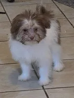 processed/e33e16a4-6623-4f28-8bc1-f4f33cb535be/listing/84d6faf8-0012-4480-b248-fff4ff401e73/eee3d8f1-c999-4098-9650-2c19ff61cc88