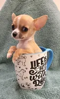 LIL TEACUP BANDIT, a male Chihuahua for sale in Garland, TX – 2 of 7