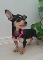 processed/e341ceae-cf65-47fb-ba3d-ab34ac876dfd/listing/a376bf23-9c85-4e84-a475-f87ab04c3beb/7f79ccad-3ae9-4ba1-a522-fbee8e7915f8