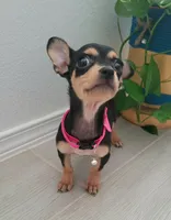 processed/e341ceae-cf65-47fb-ba3d-ab34ac876dfd/listing/a376bf23-9c85-4e84-a475-f87ab04c3beb/c442971b-847a-40c0-afdb-b5b2c0b8f280