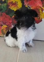 processed/e341ceae-cf65-47fb-ba3d-ab34ac876dfd/listing/b2956f57-f58b-4612-99bd-f2c2776f6eaf/5487fc35-5675-4d66-a2fd-1d00140c45c4