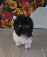 processed/e341ceae-cf65-47fb-ba3d-ab34ac876dfd/listing/b2956f57-f58b-4612-99bd-f2c2776f6eaf/5a7f87ff-90ed-488e-b122-4932071d8f83