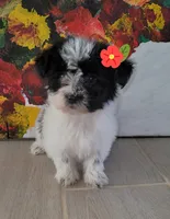 processed/e341ceae-cf65-47fb-ba3d-ab34ac876dfd/listing/c1e49236-d86c-4b3f-91c0-8d5926dfa2ff/3fc55349-ab25-4d3c-a54a-723d8d5939f0