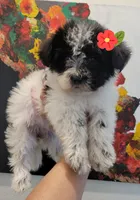 processed/e341ceae-cf65-47fb-ba3d-ab34ac876dfd/listing/c1e49236-d86c-4b3f-91c0-8d5926dfa2ff/4f91c2ca-f0dc-4d9a-a7ff-0973135e731a