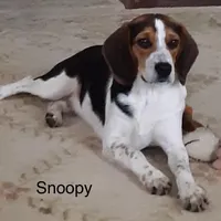 processed/e35157c5-8396-4feb-af74-a35932a6bd31/facility/073a8c31-e526-4242-b32d-440e6d2351eb