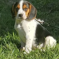 processed/e35157c5-8396-4feb-af74-a35932a6bd31/facility/25ff31f1-5c94-43e2-a1af-090ede5fad4f