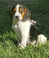 processed/e35157c5-8396-4feb-af74-a35932a6bd31/facility/25ff31f1-5c94-43e2-a1af-090ede5fad4f