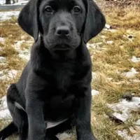 processed/e35157c5-8396-4feb-af74-a35932a6bd31/facility/361c0ce8-3f1b-4b2f-9f95-65103f295faa