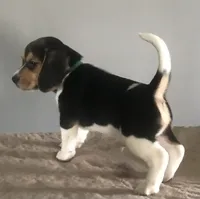 processed/e35157c5-8396-4feb-af74-a35932a6bd31/facility/3a8be26a-2a28-48f7-9a85-3c49a7cd1fa7