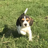 processed/e35157c5-8396-4feb-af74-a35932a6bd31/facility/5c1c8eec-d886-4f43-a2e0-479d66f426cb