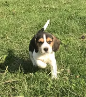 processed/e35157c5-8396-4feb-af74-a35932a6bd31/facility/5c1c8eec-d886-4f43-a2e0-479d66f426cb