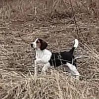 processed/e35157c5-8396-4feb-af74-a35932a6bd31/facility/77ac483d-6f16-4a92-99ba-d2f39dba8d0c