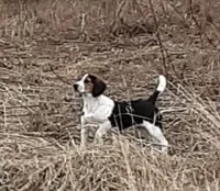 processed/e35157c5-8396-4feb-af74-a35932a6bd31/facility/77ac483d-6f16-4a92-99ba-d2f39dba8d0c