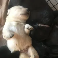 processed/e35157c5-8396-4feb-af74-a35932a6bd31/facility/b77b82fb-b3fe-442c-bba6-ef6d26e1b774