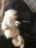 processed/e35157c5-8396-4feb-af74-a35932a6bd31/facility/b77b82fb-b3fe-442c-bba6-ef6d26e1b774