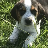 processed/e35157c5-8396-4feb-af74-a35932a6bd31/facility/b97e7521-96f8-4502-9fb5-ed86352fd854