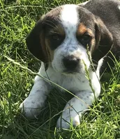 processed/e35157c5-8396-4feb-af74-a35932a6bd31/facility/b97e7521-96f8-4502-9fb5-ed86352fd854