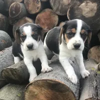 processed/e35157c5-8396-4feb-af74-a35932a6bd31/facility/eb52f0ad-9d82-486a-8466-2c973eb40187